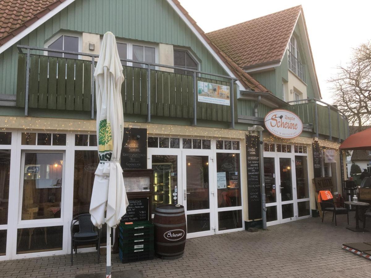 Doppelhaushaelfte Birkenstrasse 5E Villa Zingst Kültér fotó