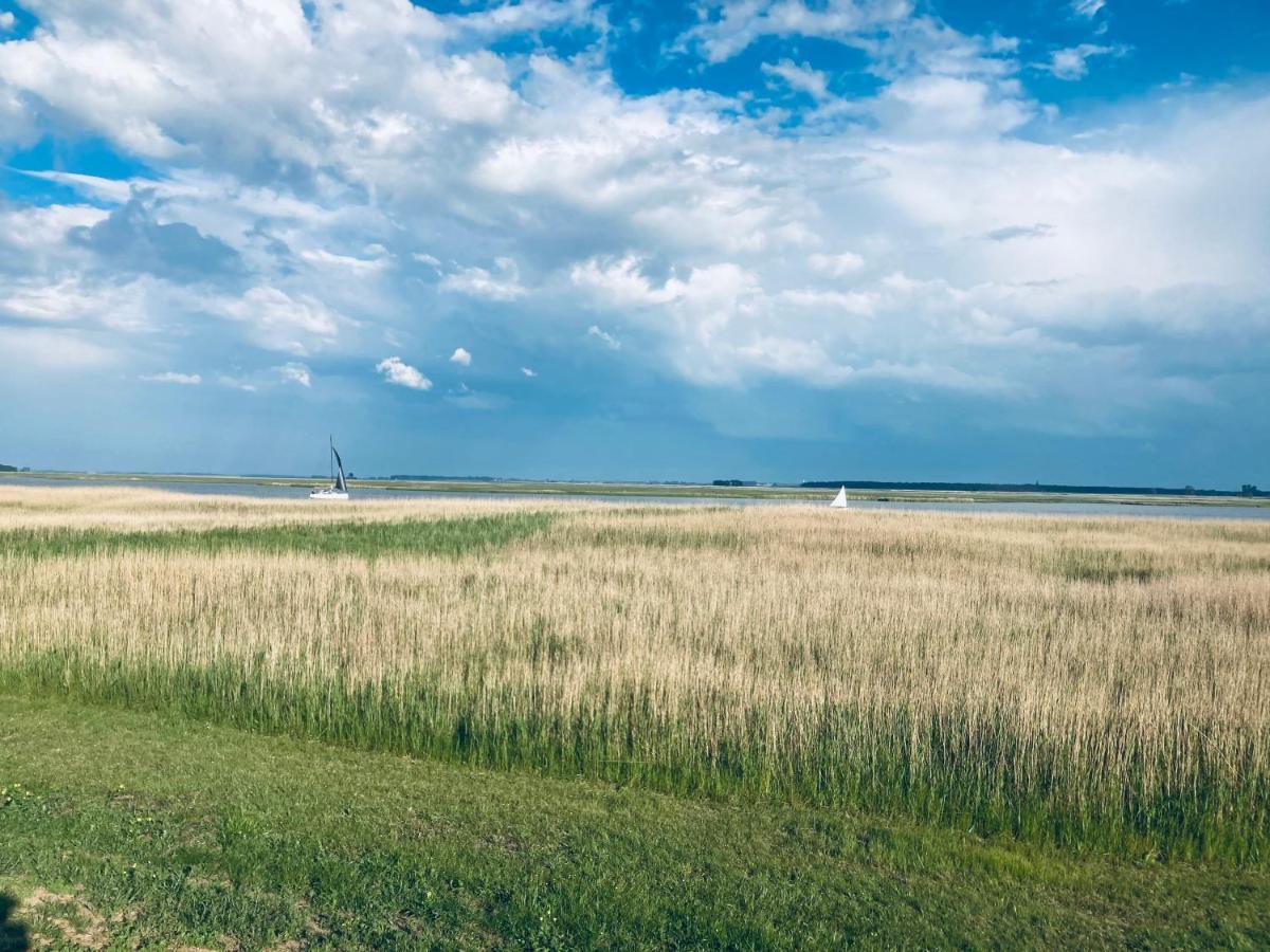Doppelhaushaelfte Birkenstrasse 5E Villa Zingst Kültér fotó